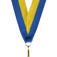 Wstążka 11 mm - żółto-niebieska
